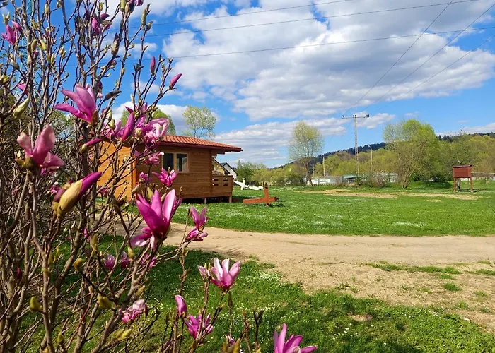 Domek Nad Olszanka